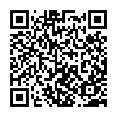 QR code for plate 480-LPT