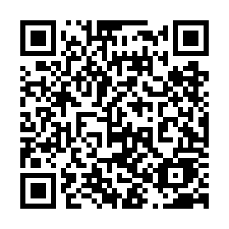 QR code for plate 484-GOE
