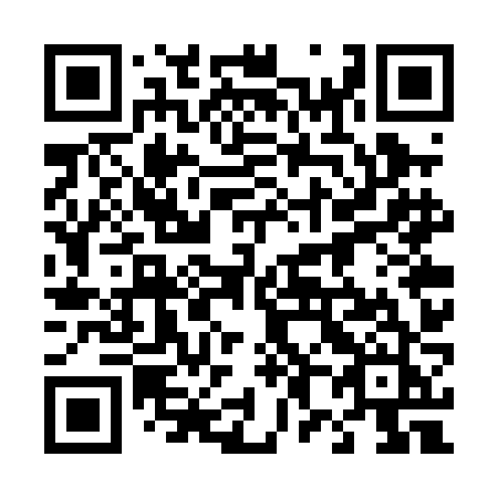 QR code for plate 487-PJJ