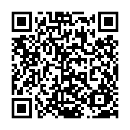 QR code for 489-TZN