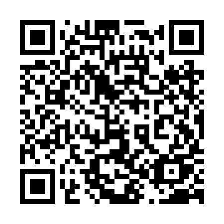 QR code for plate 489-BYU