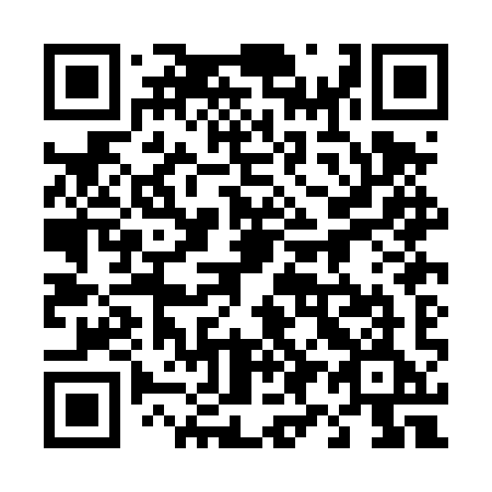 QR code for 490-DYE