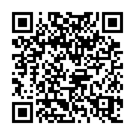 QR code for plate 491-CKP