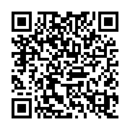 QR code for 491MTI