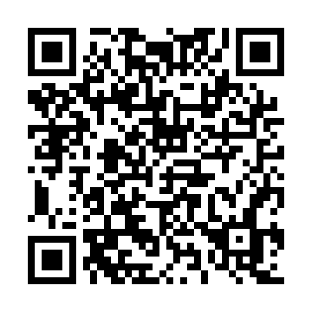 QR code for 493-AFN