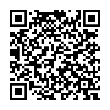 QR code for 493-LMR