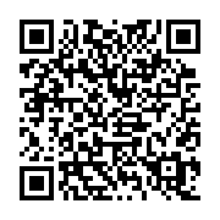 QR code for 493-STM
