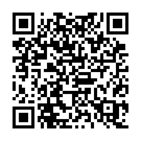 QR code for plate 493-CDC