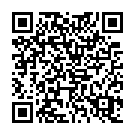 QR code for 493GPT