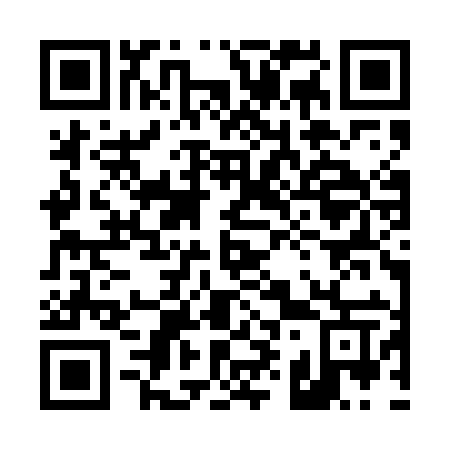 QR code for 493UIW