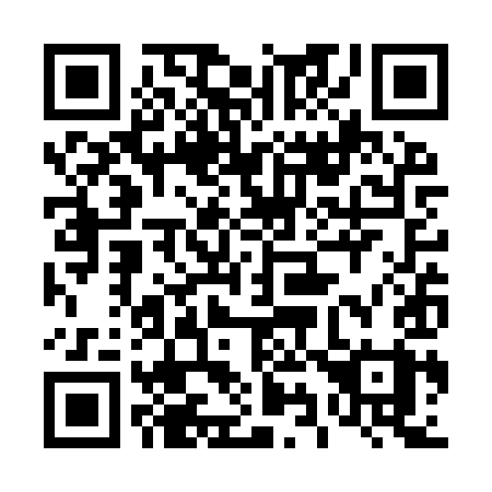 QR code for 493YYY