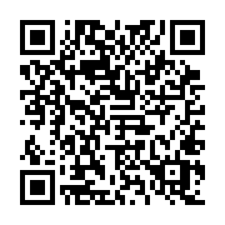 QR code for plate 494-SMT