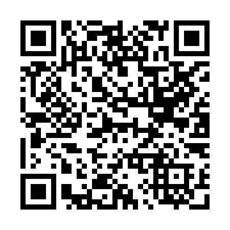 QR code for plate 496-HIB