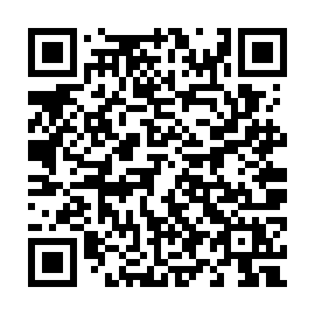 QR code for plate 496-WOX
