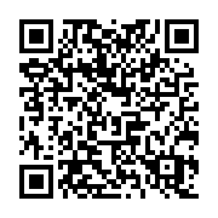 QR code for plate 497-LRT
