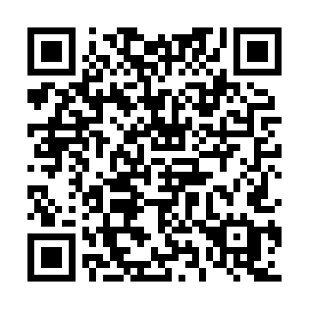 QR code for plate 498-HUE