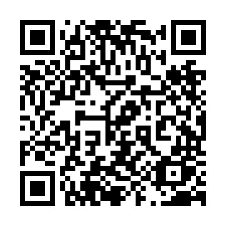 QR code for plate 498-NNP