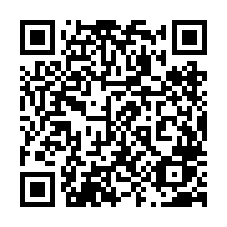 QR code for plate 499-RLR