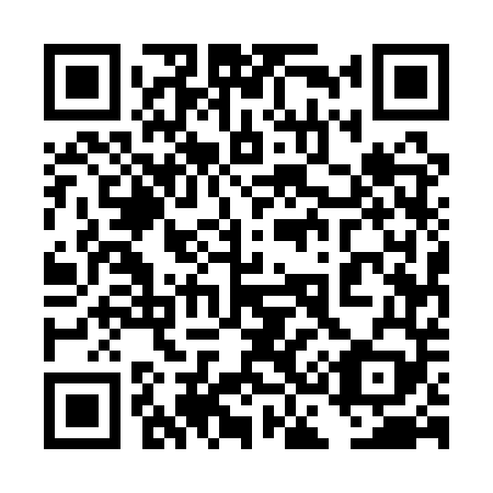 QR code for plate 4C5-1T9
