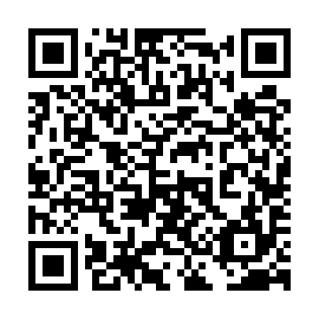 QR code for plate 4C6-5Y4