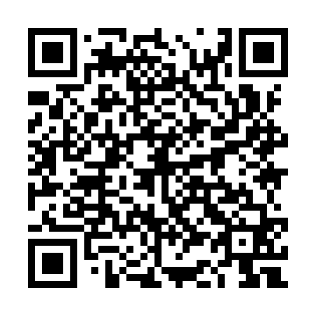 QR code for plate 4C9-9V0