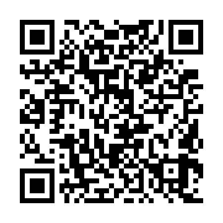 QR code for 4D17L9