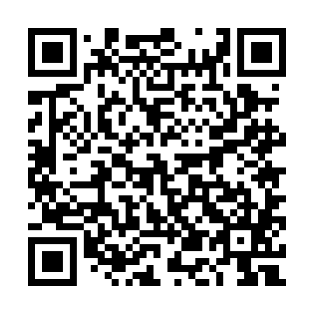 QR code for plate 4E5-0H5