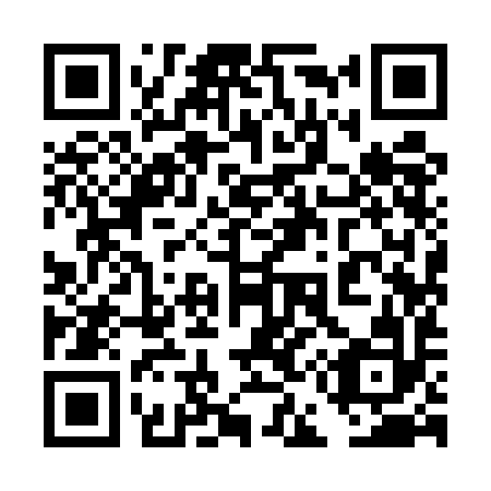 QR code for plate 4E9-5I2