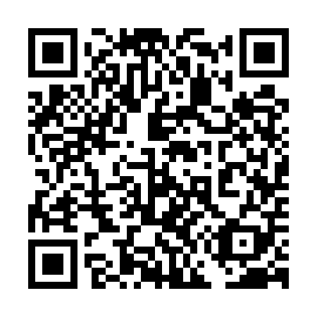 QR code for plate 4G3-5P9