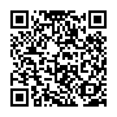QR code for plate 4G5-0B9