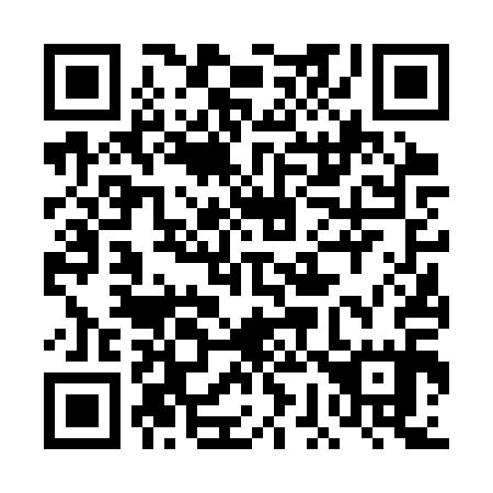 QR code for plate 4G6-3Q5
