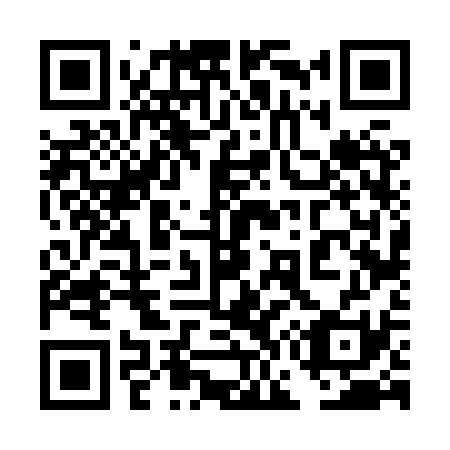 QR code for plate 4G6-8S1