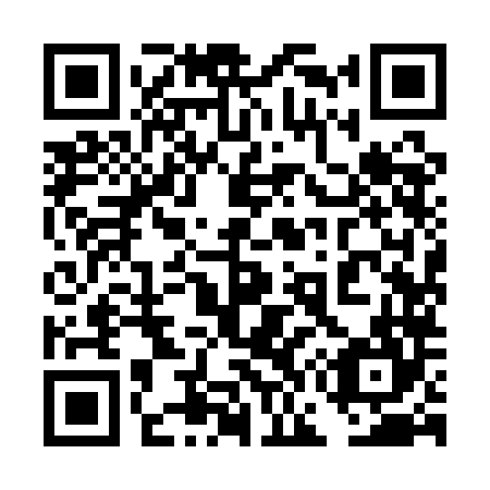 QR code for plate 4G9-1L4