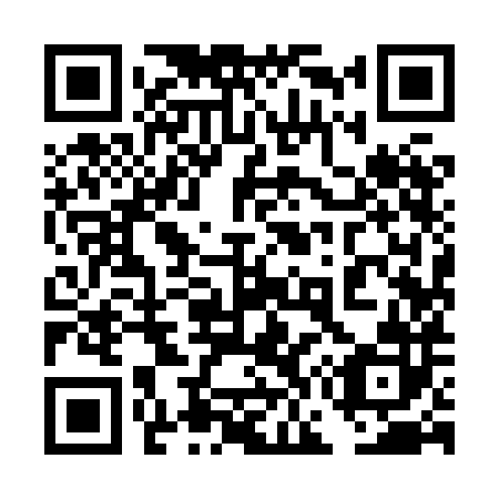 QR code for plate 4G9-8H2