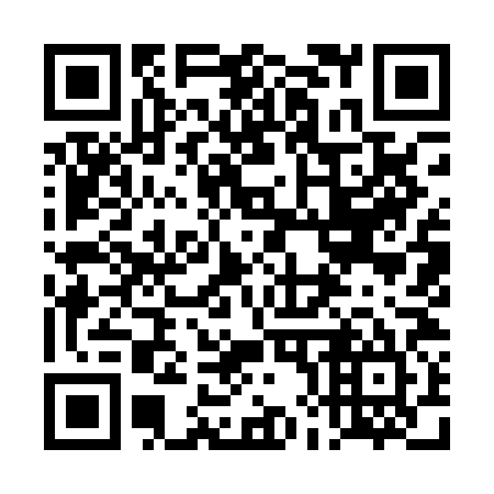 QR code for plate 4H9-0N5