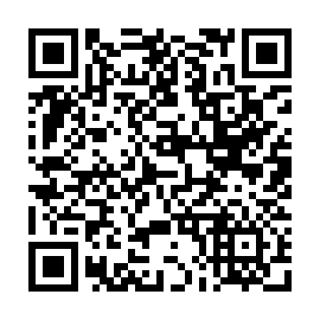 QR code for plate 4H9-9S6