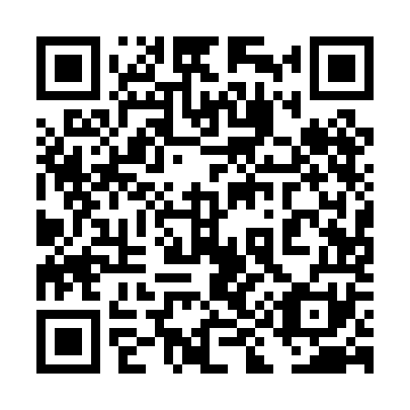 QR code for plate 4I1-0O1