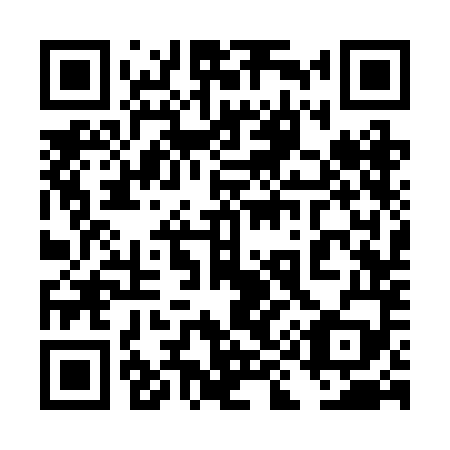 QR code for plate 4I3-2M9