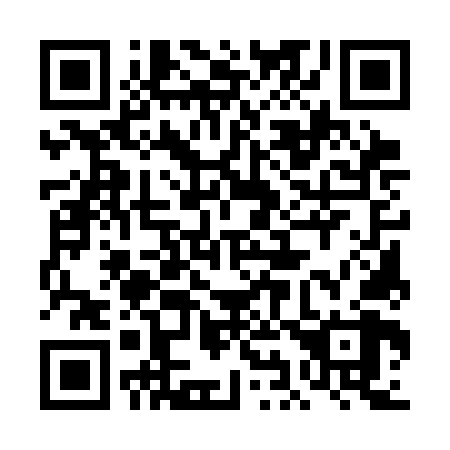 QR code for plate 4I5-3N8