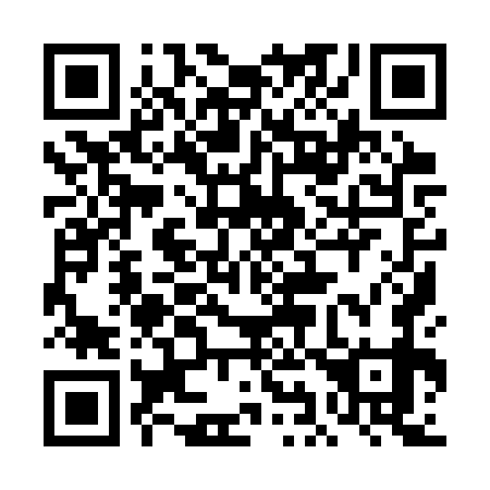 QR code for plate 4I9-3W9
