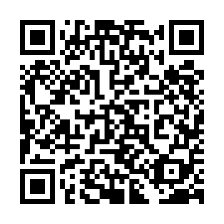 QR code for plate 4L6-5E9
