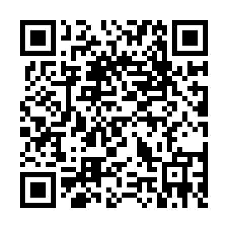 QR code for plate 4M1-9E5