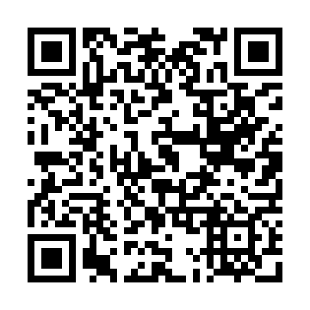 QR code for plate 4M4-9V9