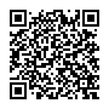 QR code for plate 4N2-4B9