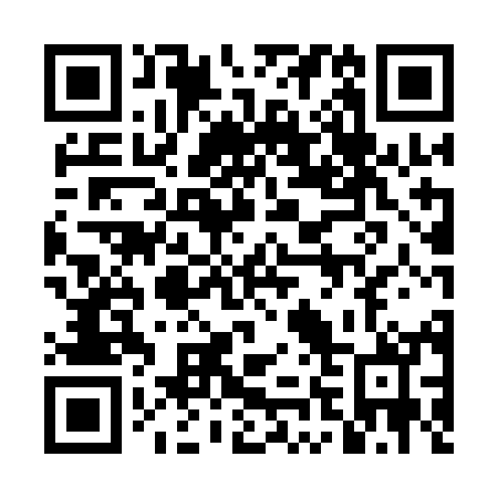 QR code for plate 4N5-1M0