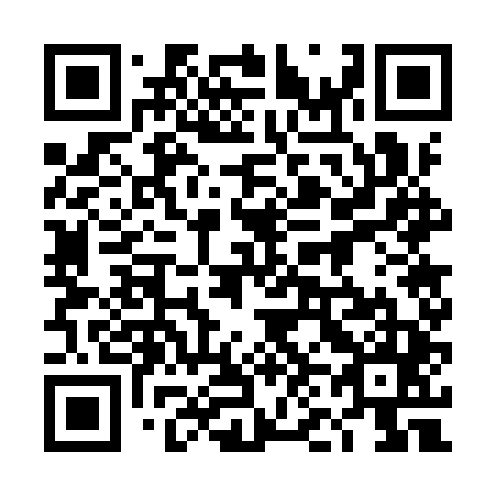 QR code for plate 4N7-9T5