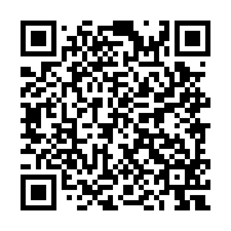 QR code for plate 4N8-0Y6