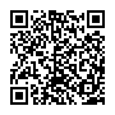 QR code for plate 4P0-5Q2