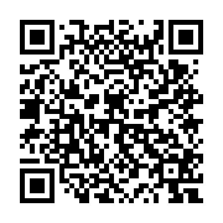 QR code for 4P1-6P4