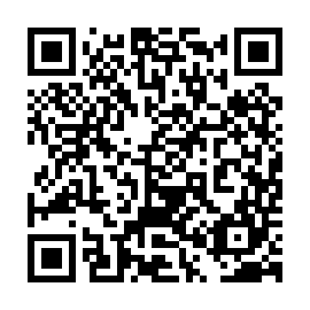 QR code for 4P10T4